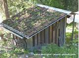 Photos of Green Roof Trays For Sale