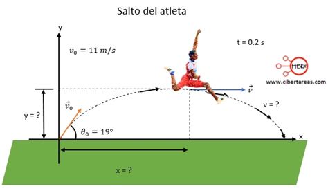 Ejemplo de tiro oblicuo o movimiento parabólico Fisica 1 CiberTareas