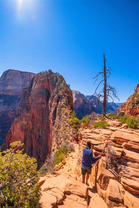 Angels Landing Hike In Zion 19 Helpful Things To Know Laptrinhx News