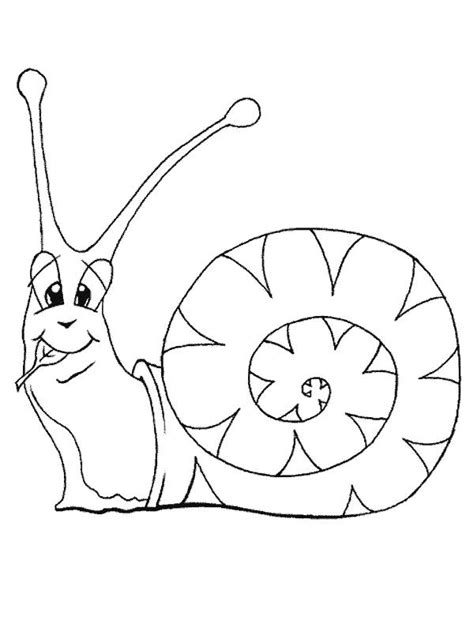Https://wstravely.com/coloring Page/animal Facts Coloring Pages