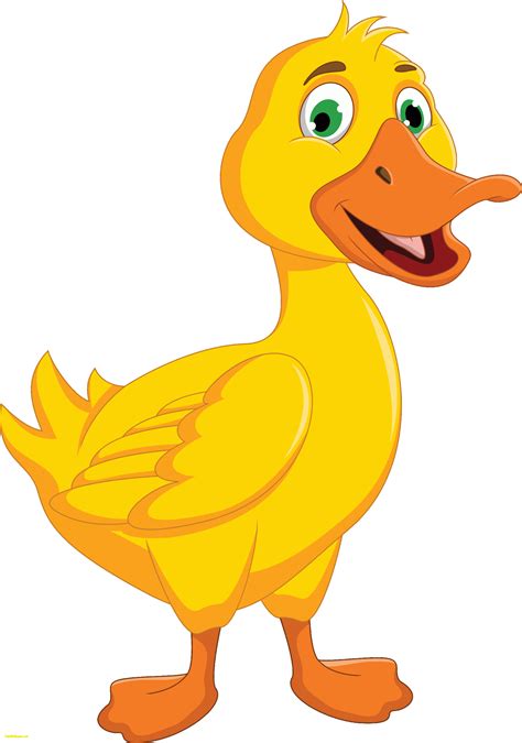 Duckling Clipart Wetland Animal Picture 970471 Duckling Clipart