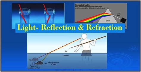 Just as images are reflected from the surface of a mirror, light reflected from a smooth water surface also. NCERT Solutions Class 10 Science : Light Reflection and Refraction