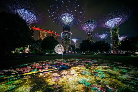 EXPLORE SG Gardens By The Bay And Japanese Creative Force NAKED Present Dandelion HazelDiary