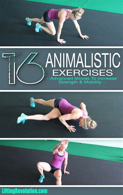 16 Advanced Animal Inspired Exercises To Increase Strength Workout