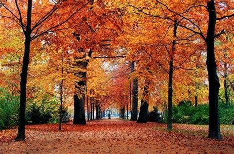 19 Stunning Autumn Pictures That Makes You Smile World Inside