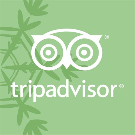 Tripadvisor Download Logo Icon Png Svg