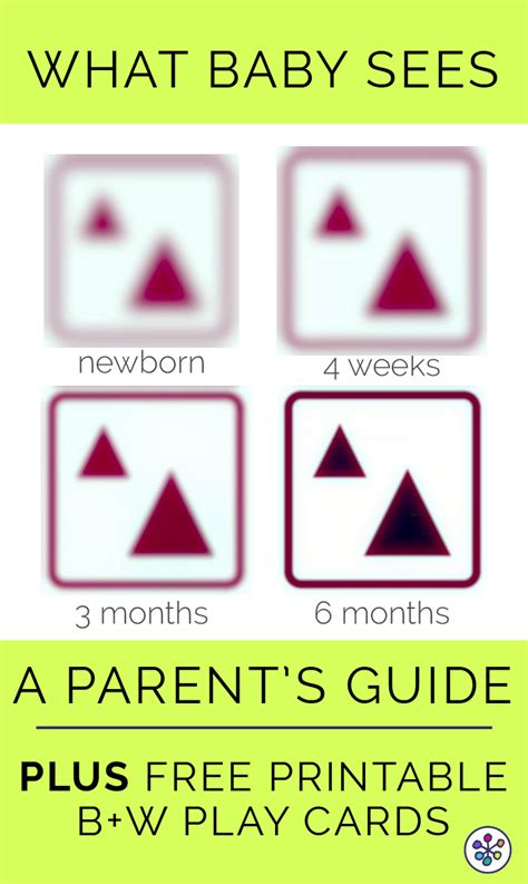 What Can My Baby See A New Parents Guide To Newborn Vision — Cando Kiddo