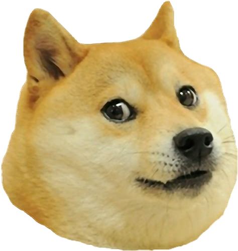 Doge Meme Png Doge Vector Illustration Transparent Png Stickpng