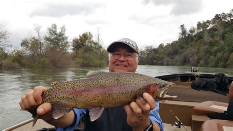 Sacramento River Fish Reports And Map