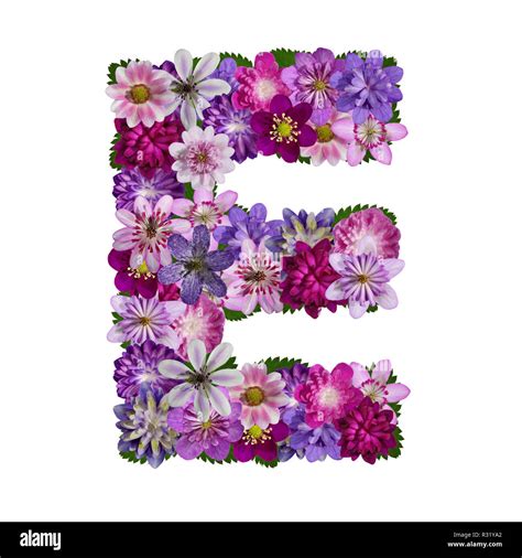 Flowers Alphabet Letter E Stock Photo Alamy