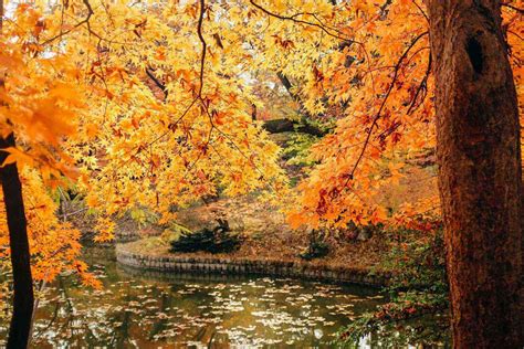 15 Places Around The World To See Gorgeous Fall Foliage Fodors Travel