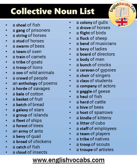 Collective Nouns Chart For Kids