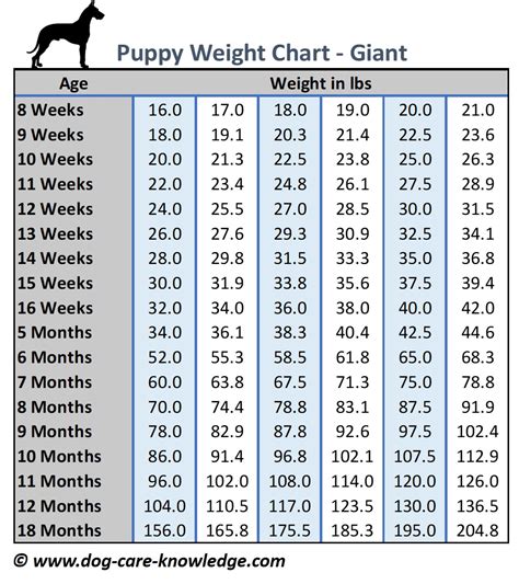 How Big Will My Puppy Be Fully Grown