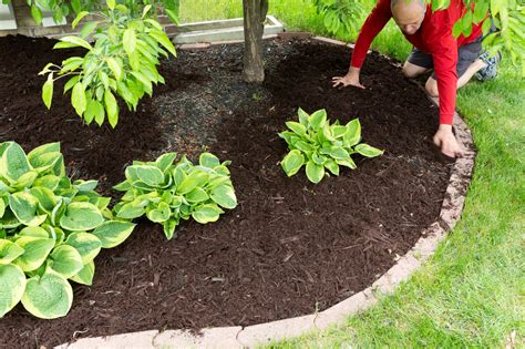 We also deliver to austin, round rock, cedar park, lakeway, pflugerville, and leander. The Many Benefits of Mulch | Asphalt Materials
