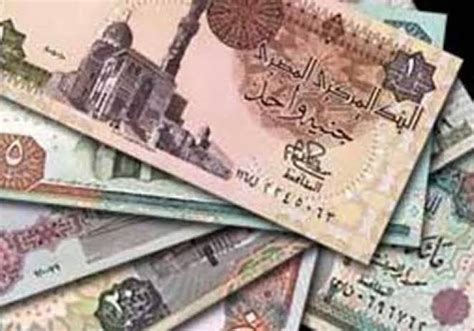 سعر الجنيه المصري في امريكا