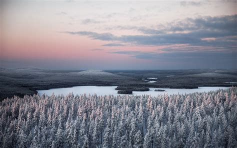 Download Wallpaper 1920x1200 Forest River Snow Aerial View