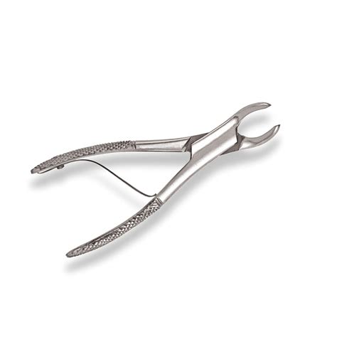 Extracting Forceps 151xs Surgical Dental Surgical Mart