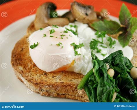 Poached Egg Breakfast 2 Stock Photo Image Of Calorie 4429276