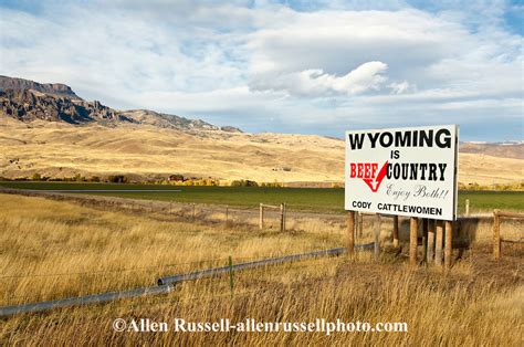 Sign Promoting Beef Cattle Ranching Outside Cody Wyoming Allen