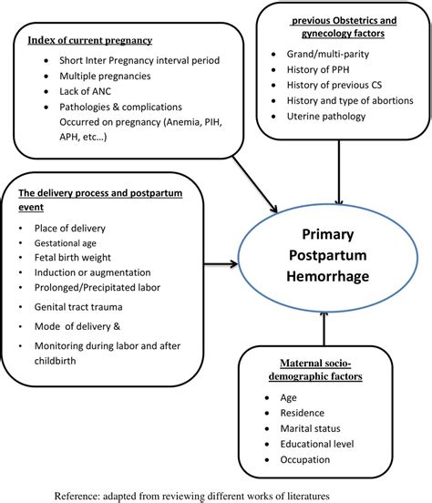 Frontiers Risk Factors Of Primary Postpartum Hemorrhage Among