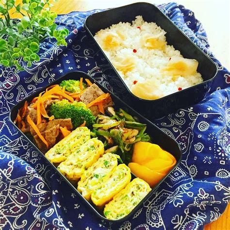 Tiktok for good advertise developers transparency. 本日のお弁当🍱. 作り置きのガリとコリンキーの甘酢漬けが ...