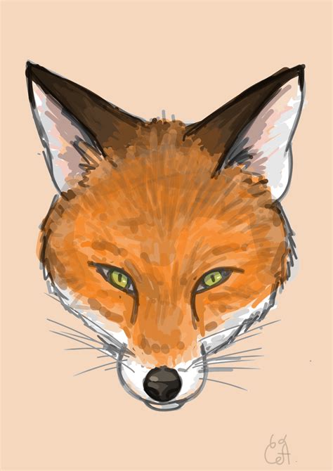 asuna fox telegraph