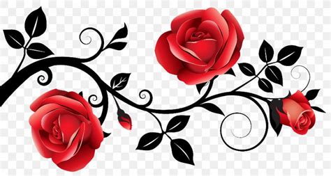 Flower Border Design Black And Red Miaanay Vos