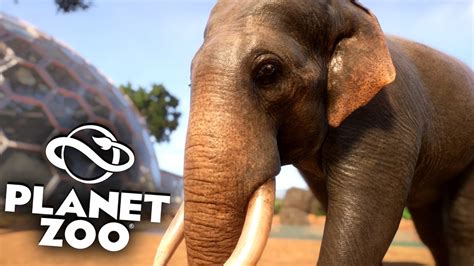 Planet Zoo Beta 13 Indische Elefanten Zucht Planet Zoo Deutsch