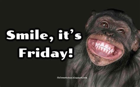 T G I F Happy Funny Friday Quotes To Be Happy On Friday Morning