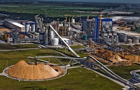 suzano papel e celulose planeja investir r 2 bilhões em construção de nova fábrica e