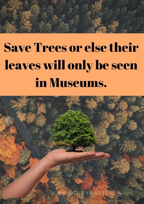 Save Trees Poster In 2021 Save Trees How To Dry Basil Tree Quotes
