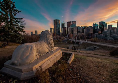 Top Public Art In Calgary Tourism Calgary