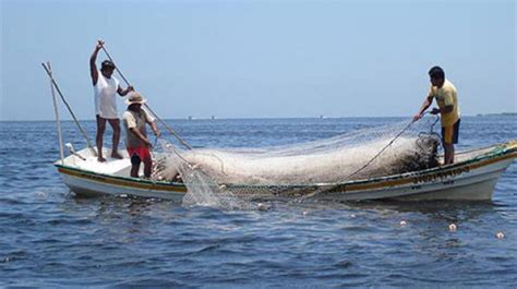 Pesca En Yucatán Deja Derrama Anual De Mil 367 Mdp La Verdad Noticias
