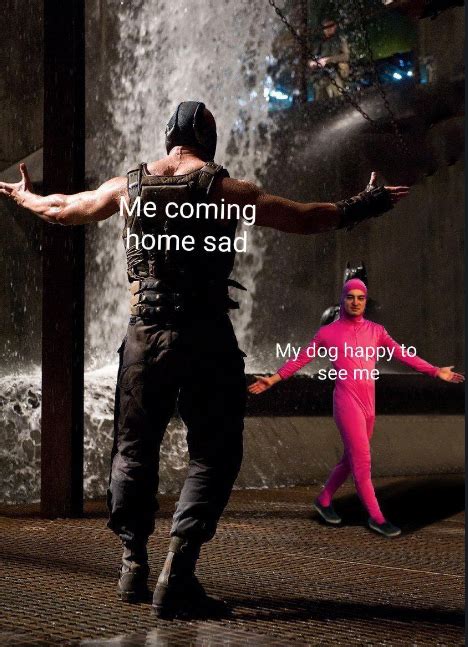 Me Coming Home Sad Bane Vs Pink Guy Know Your Meme