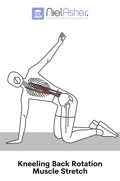 Pin On Muscle Stretches For Trigger Points