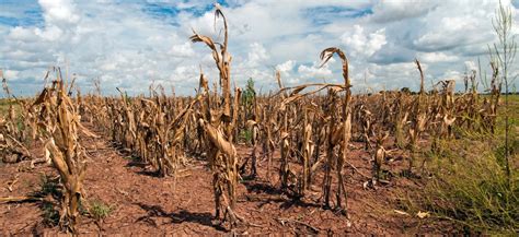 Climate change is already taking a toll on the economical standings of poverty stricken countries; Drought and Climate Change | Union of Concerned Scientists