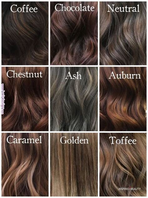 Shades Of Brunette Hair Color Shades Cool Hair Color Brunette Hair
