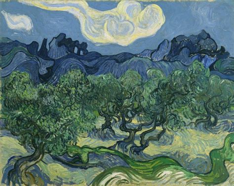 Oliveto Con Nuvola Bianca 1889 Vincent Van Gogh Art Van Van Gogh Art