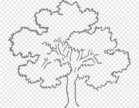 Oak Tree Menggambar Buku Mewarnai Pohon Putih Daun Teks Png Pngwing