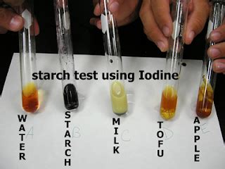 Using iodine to test for the presence of starch is a common experiment. #30 Food test 1 - Starch test | Biology Notes for IGCSE 2014