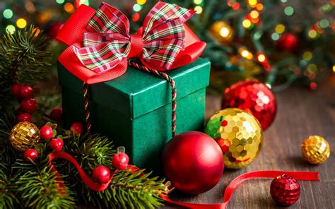 Places To Pick A Christmas Tree In Pune