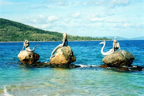 Three Mermaids Daydream Island Queensland By Catherine C Turner Mermaid Lagoon Mermaid