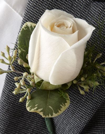 White Rose Boutonniere Dedham Flower Shop