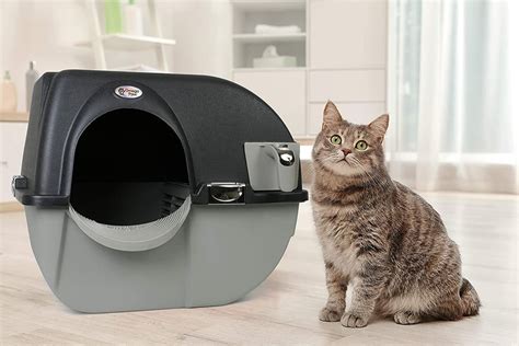 Best Self Cleaning Litter Boxes For Cats Popsugar Pets