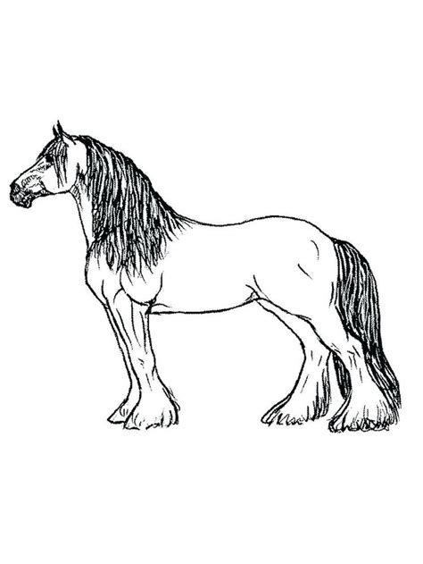 horse coloring pages printable    collection   horse coloring page