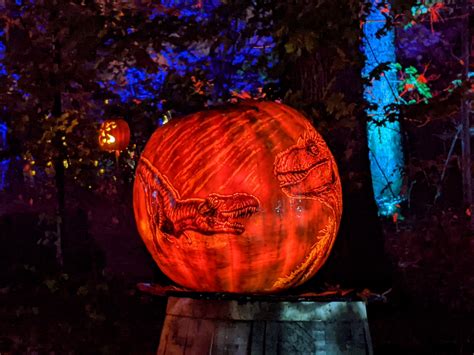 Louisville Jack Olantern Spectacular Roadtrips And Rollercoasters