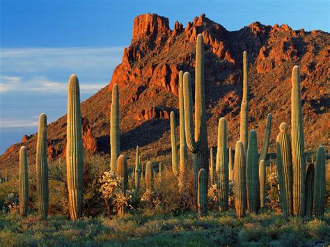 Arizona Desert Hd Wallpapers Top Free Arizona Desert Hd Backgrounds