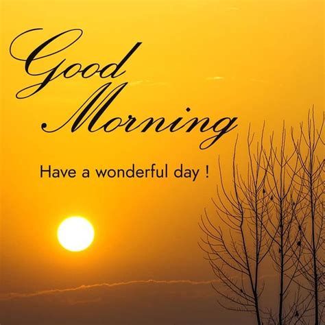 Lovely Good Morning Images Hd P Download Good Morning