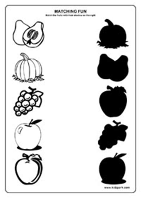 fruits worksheetsscience activity sheets  kidsfruits matching