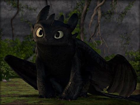Toothless  Wallpaper Toothless Dragon Train Fanpop Cute Dragons Face Movie Entrenar Tu Como